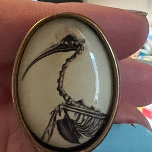 Pterodactyl Skeleton Picture Ring w/ Brass Adjustable Band